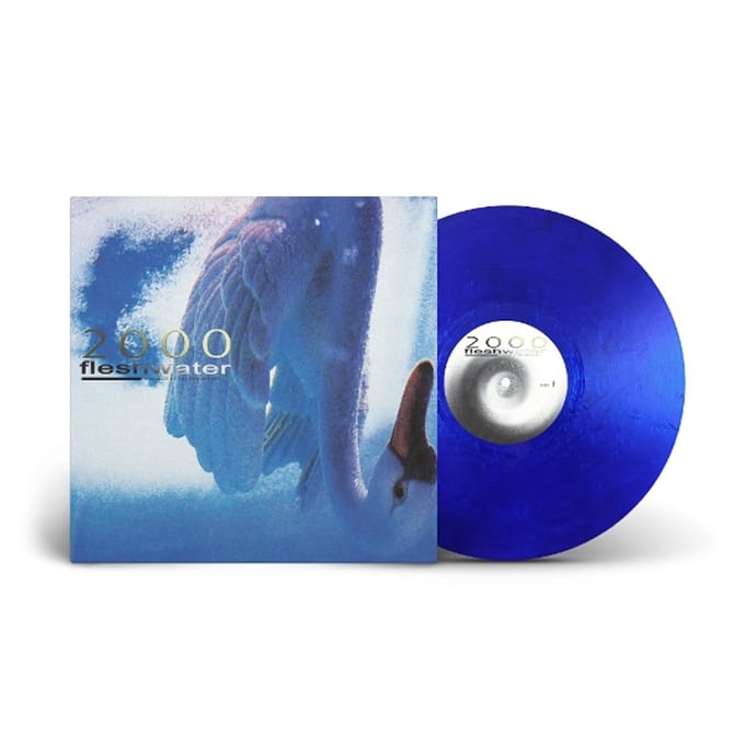 2000: In Search Of The Endless Sky - Fleshwater