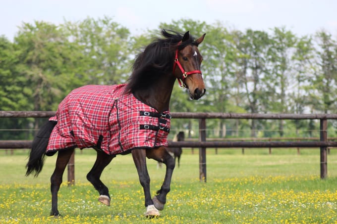 MHS Regendeken met fleece Red Blocks 195 Rood