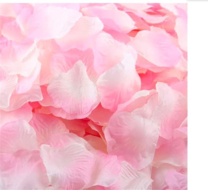 ProductGoods - 1000 Rozenblaadjes Decoratie Roze / Wit / Romantisch