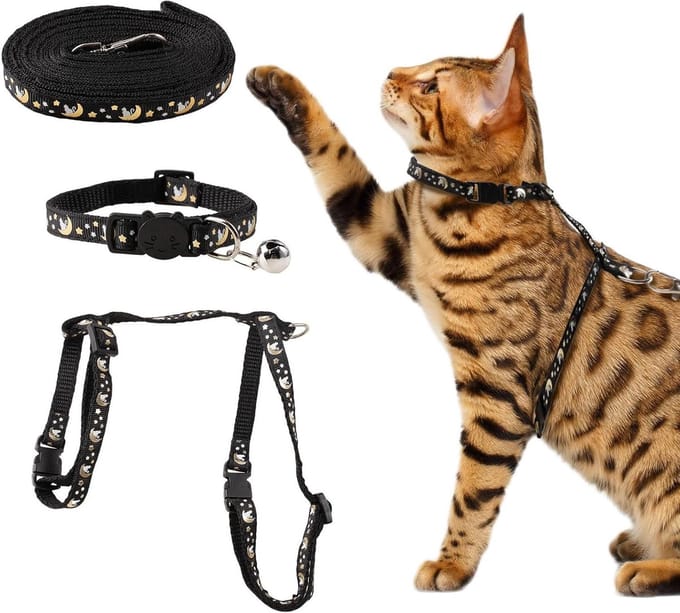 Dailygoods- Kattenharnas Verstelbaar - Kattenriem - Veiligheidsgesp