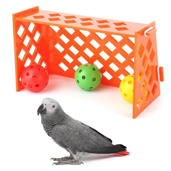 Perroquet de compagnie Mini Terrain de Football Oiseau Entraînement Bureau Éducatif Puzzle Intelligence