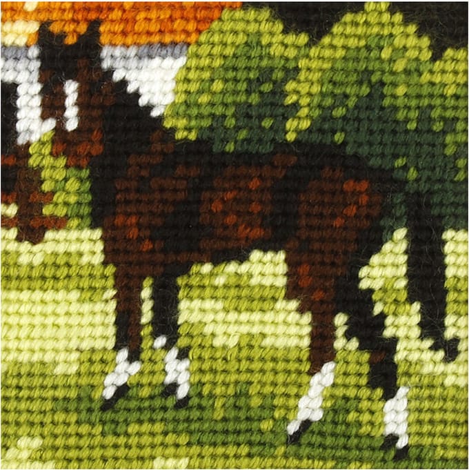 Borduurpakketje - MY FIRST EMBROIDERY - ORCHIDEA - PAARDJE