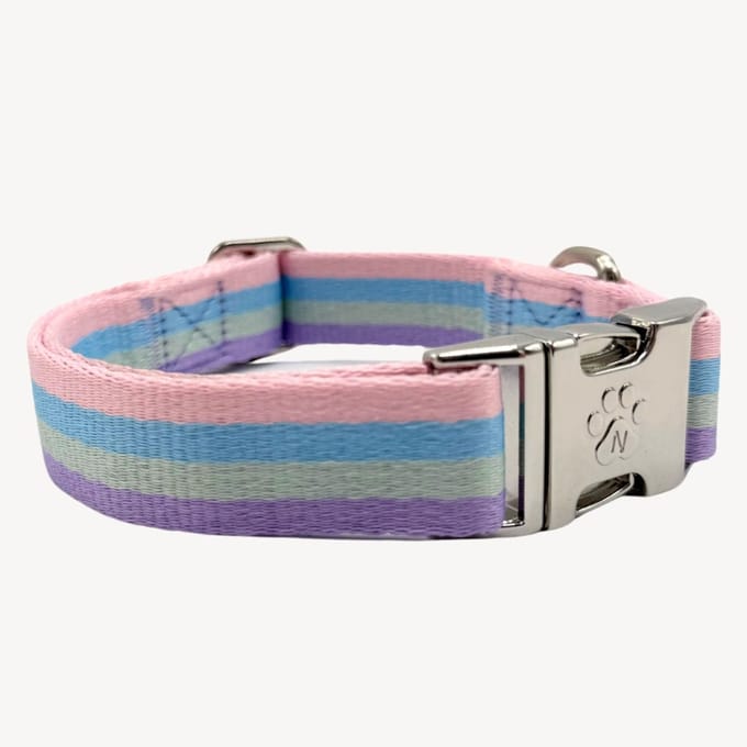 Regenboog - Halsband Hond - L- 42 / 68 cm
