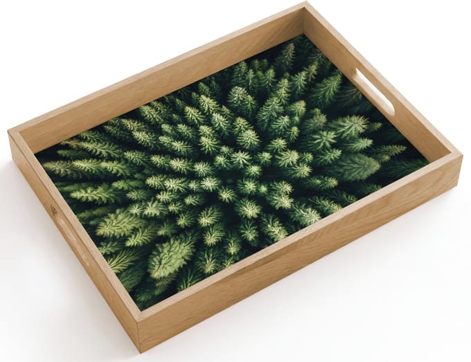Dienblad hout 40x30 cm - Schootdienblad - Bomen - Naaldwoud - Structuur - Borrelplank rechthoek - Plateau dienbladen