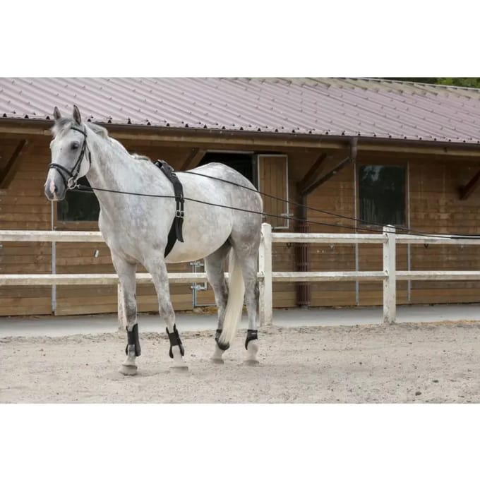 Leder touw voor paarden Riding World