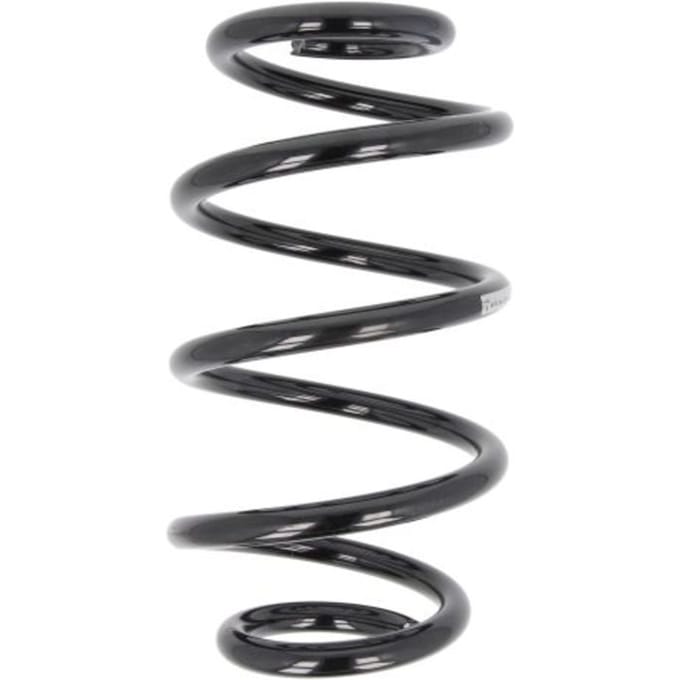 Chassisveer SACHS 993 618