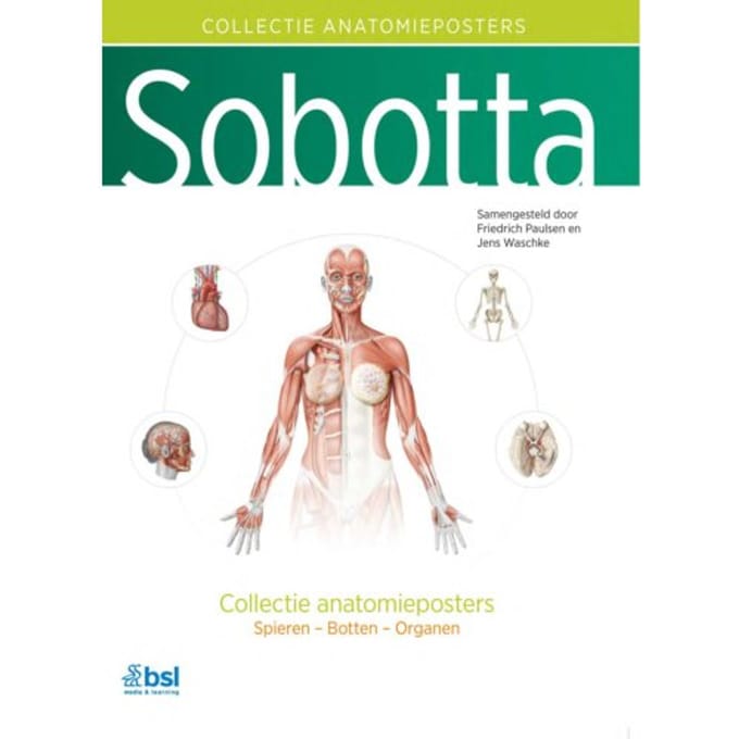 Sobotta - Collectie Anatomieposters