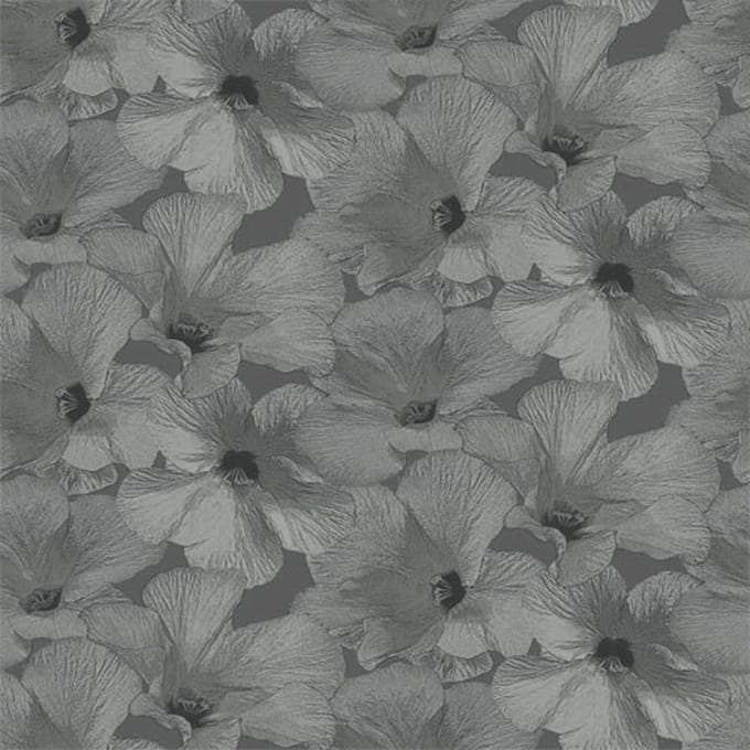 Annuell Hibiscus grijs 11003