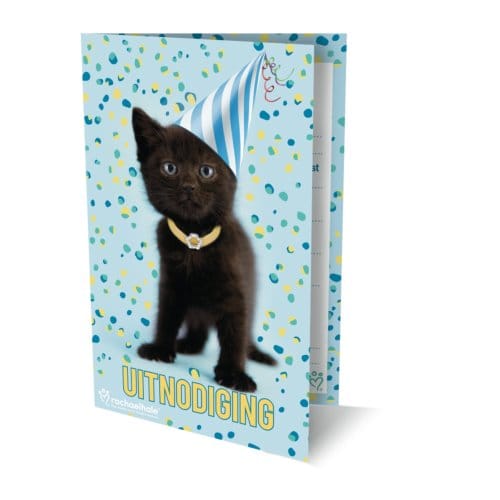 Rachel Hale Kat Uitnodiging Pk938 - Set Van 6 - Interstat