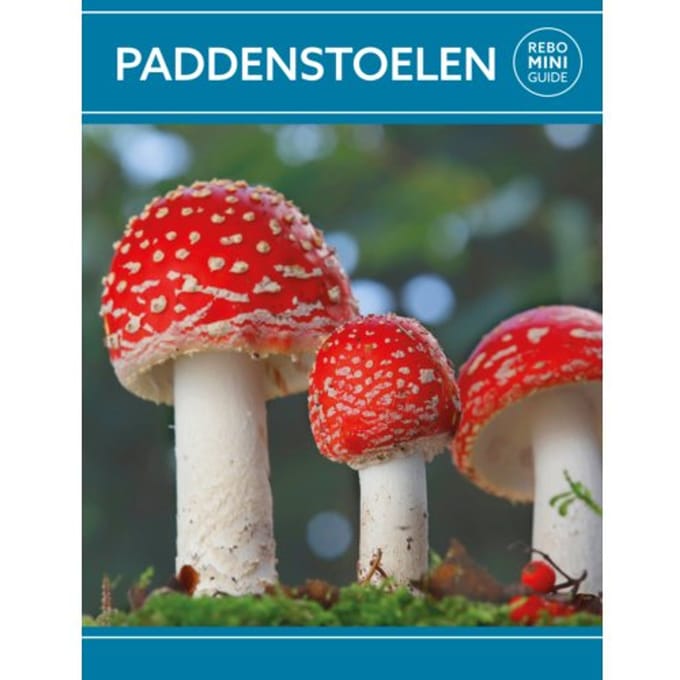 Paddenstoelen - Rebo Mini Guide