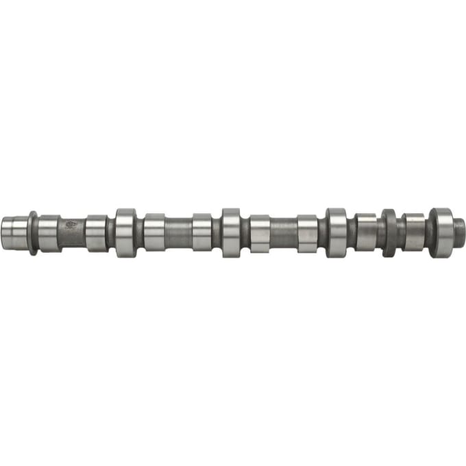 Nokkenas  AE CAM948