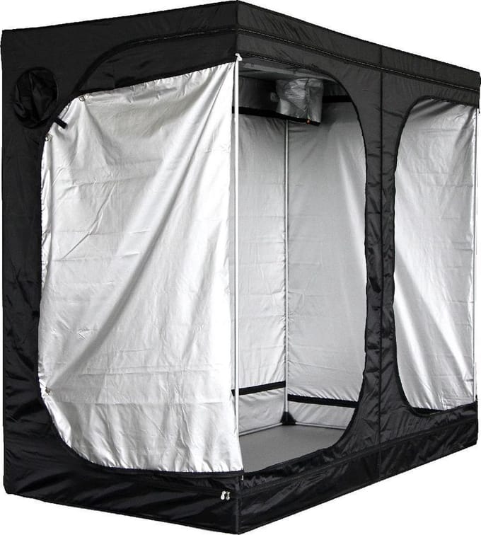 Mammoth Lite+ 240L 240x120x200cm kweektent