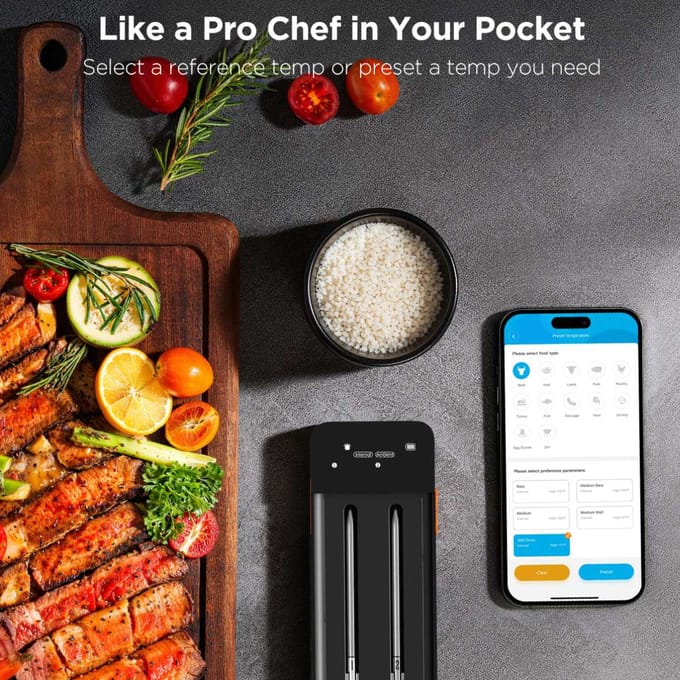 Govee Smart Wireless Meat Thermometer - 2-Probe - Zwart
