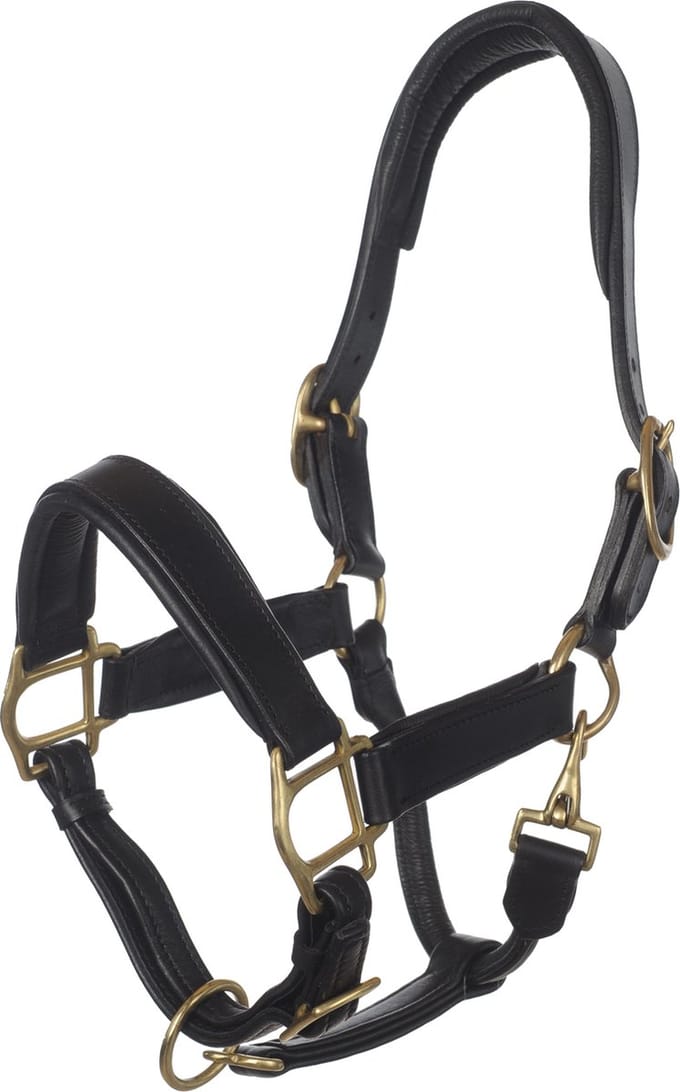MHS Leren Halster Exclusive Mini Zwart / Goud