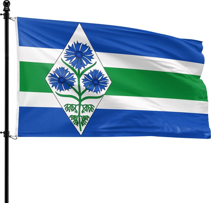 VlagDirect - Blaricum vlag - Gemeente Blaricum vlag - 90 x 150 cm.