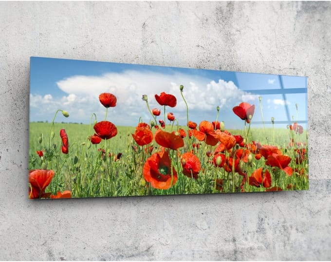 Panorama Glasschilderij - Klaproos Bloemen - Wall Art - 92 x 36 cm