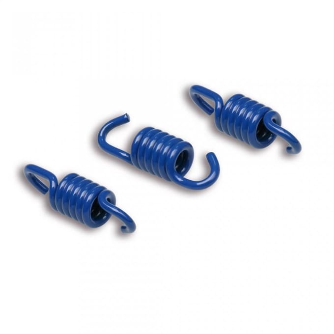 Ressort d embrayage Malossi pour Auto 299603B Neuf