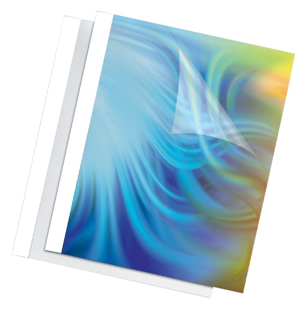 Fellowes Standing - 100 pcs. - 200 g/m² - thermal binding cover