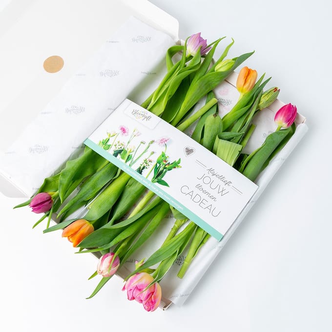 BloomKado | Brievenbus bloemen | Gemengde tulpen | Vrolijk brievenbus cadeau