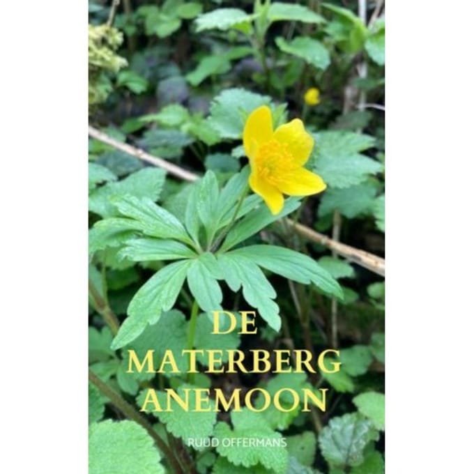 De Materberg Anemoon - Ruud Offermans