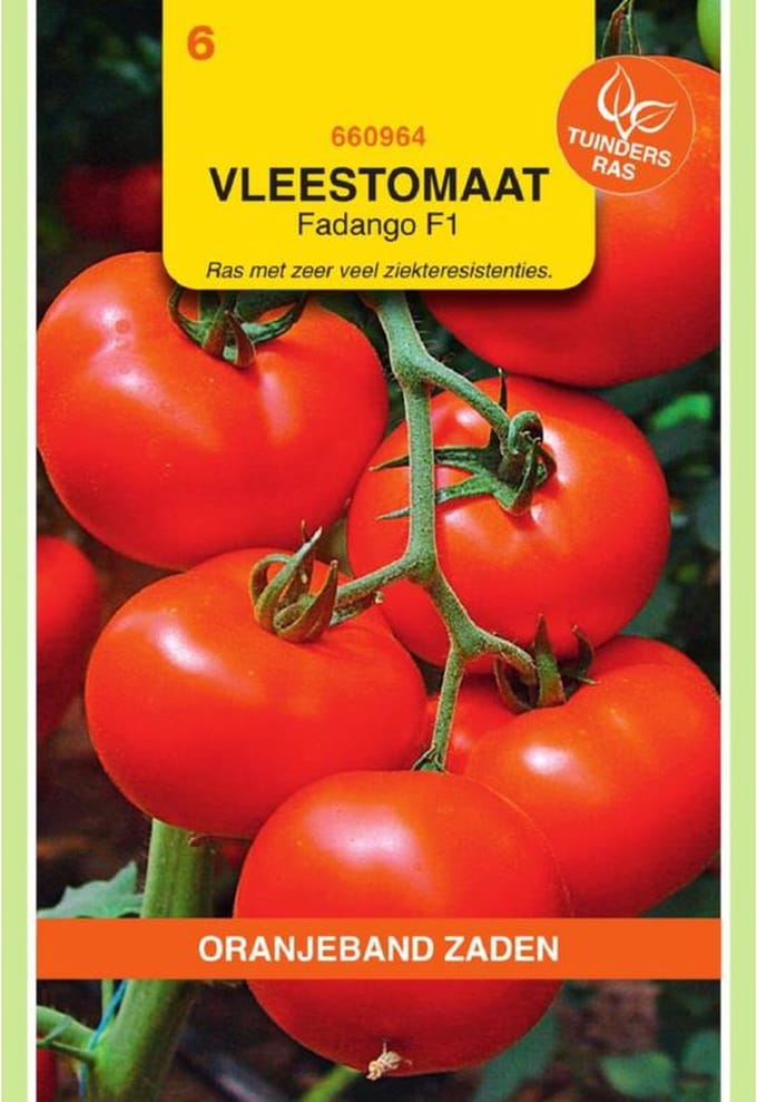 Oranjebandzaden -  Tomaten Menhir F1