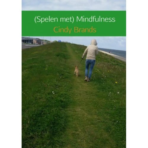 Spelen Met Mindfulness - Cindy Brands