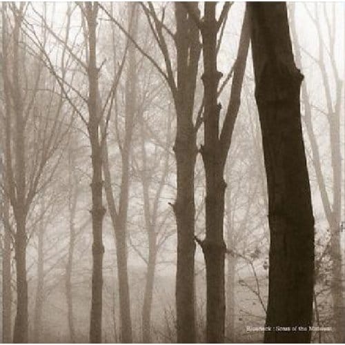 Blueneck - Scars Of The Midwest (LP)