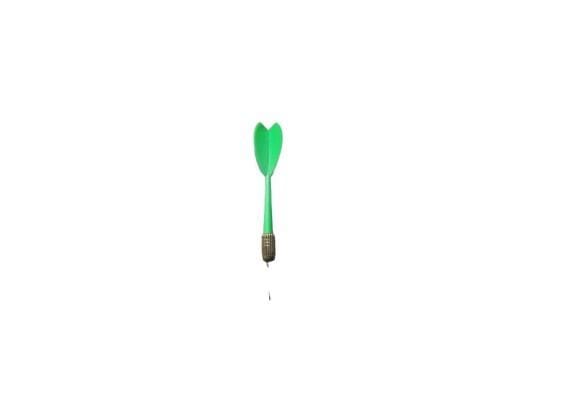 Dartsboard 43cm met 6 darts 18 gram