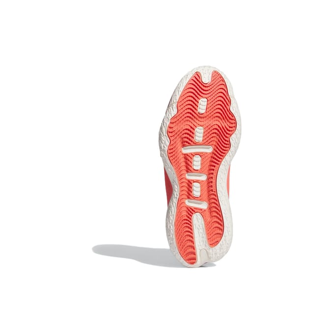 Basketbalschoenen adidas Dame 8 Extply