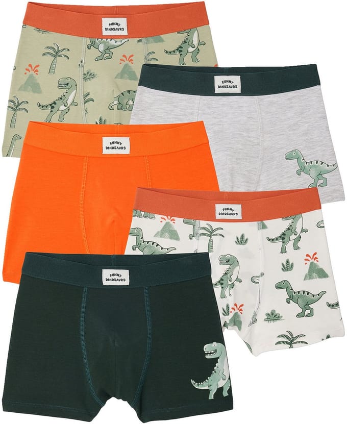 Vertbaudet Set van 5 boxershorts dino