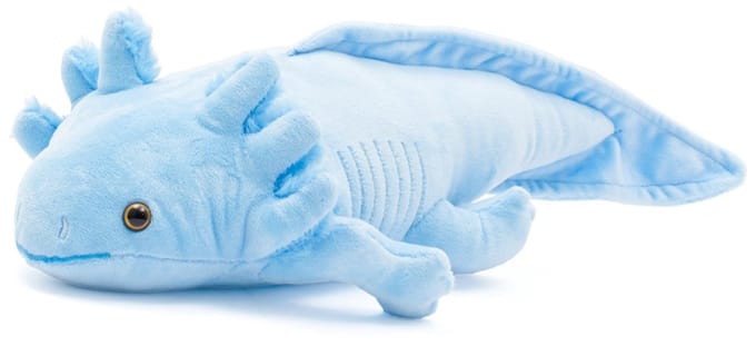 Baby Mix Axolotl knuffeldier pluche 45 cm blauw - Knuffel