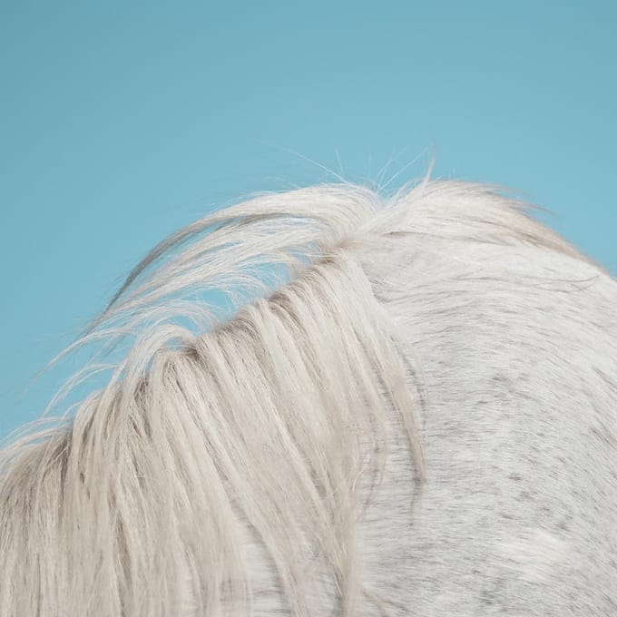 Widowspeak - All Yours (LP)