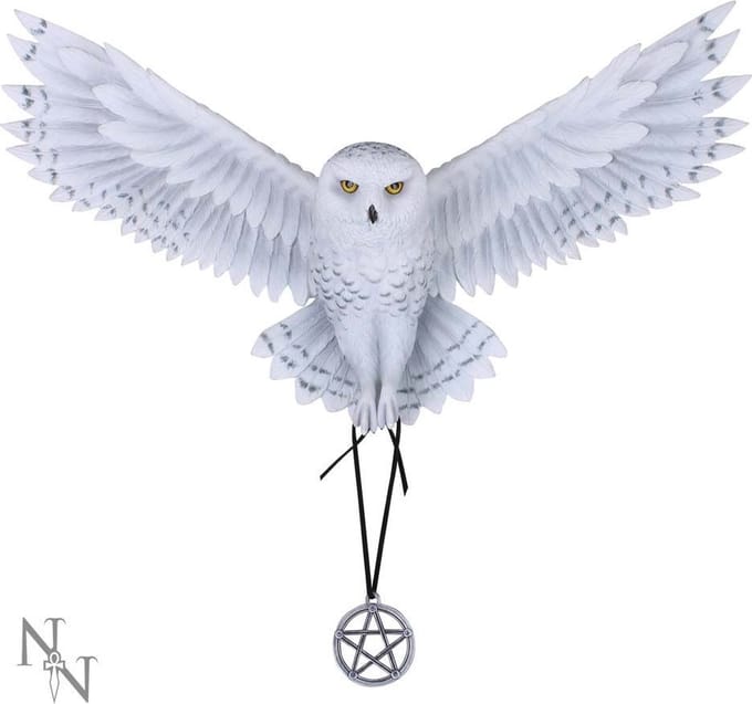 Nemesis Now Muurdecoratie Awaken your Magic Multicolours