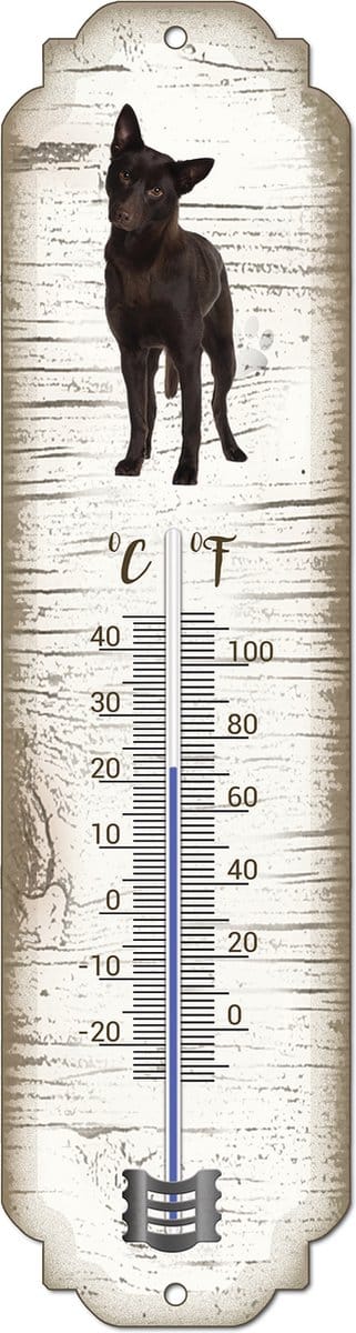 Thermometer: Austrailian Celpie | Hondenras | Temperatuur binnen en buiten | -25 tot +45C