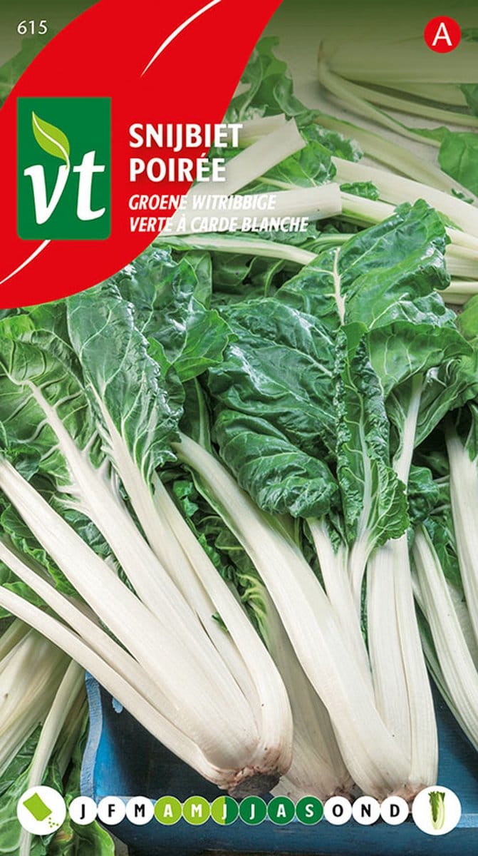 Snijbiet 'Groene Witribbige' - Gemakkelijk en Veelzijdig