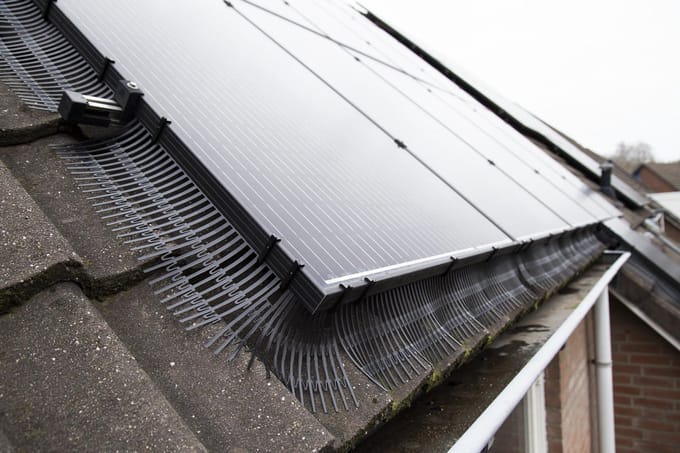 Solarguard Pro® vogelwering opdaksysteem 20 meter met snelklemmen