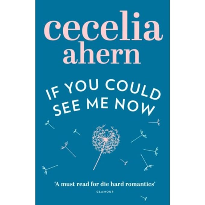 If You Could See Me Now - Cecelia Ahern