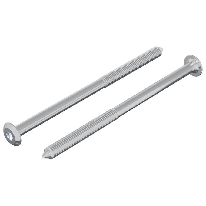 vidaXL Schroef 2 pcs Zilver M6 x 100 mm Staal
