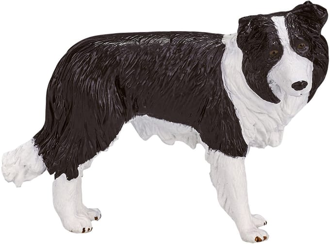 Mojo Farmland Border Collie - 387203