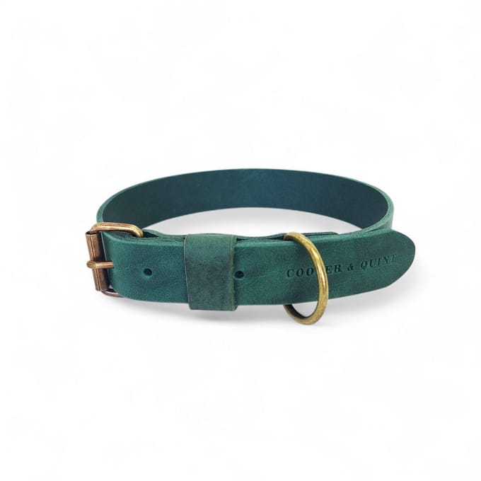 Cooper & Quint Bold Brede Leren Halsband - Groen - Medium - 4 cm - Oud Messing