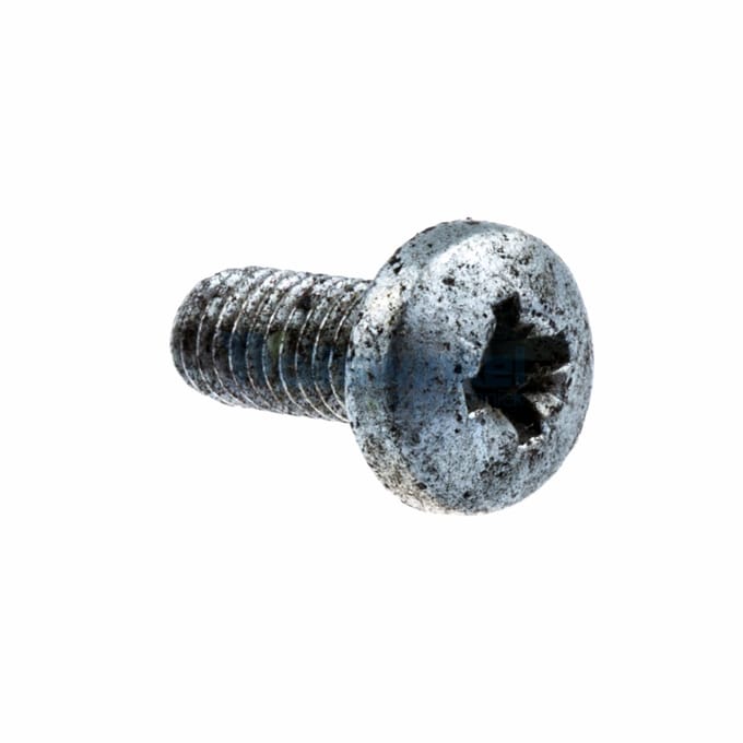 Screw