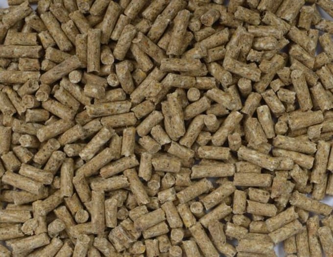 Fakkert Biologisch (vlees) varkensbrok 20KG