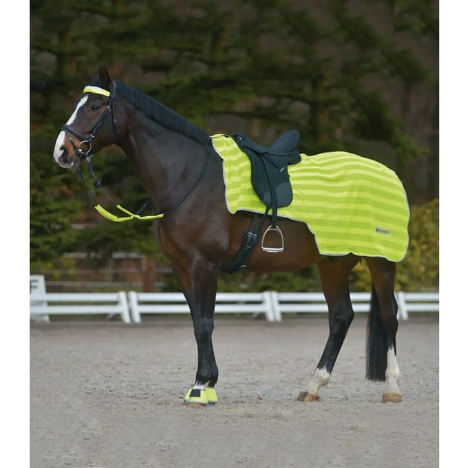 Paardendekens Waldhausen Reflex