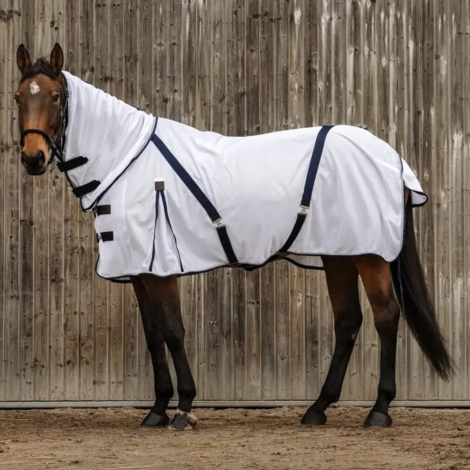 Vliegenmasker voor paard van gaas Equithème Combo
