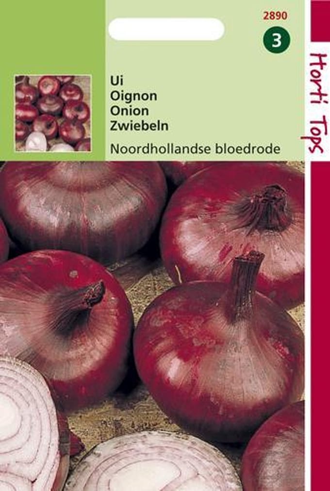 Hortitops Zaden - Uien Noordhollandse Bloedrode