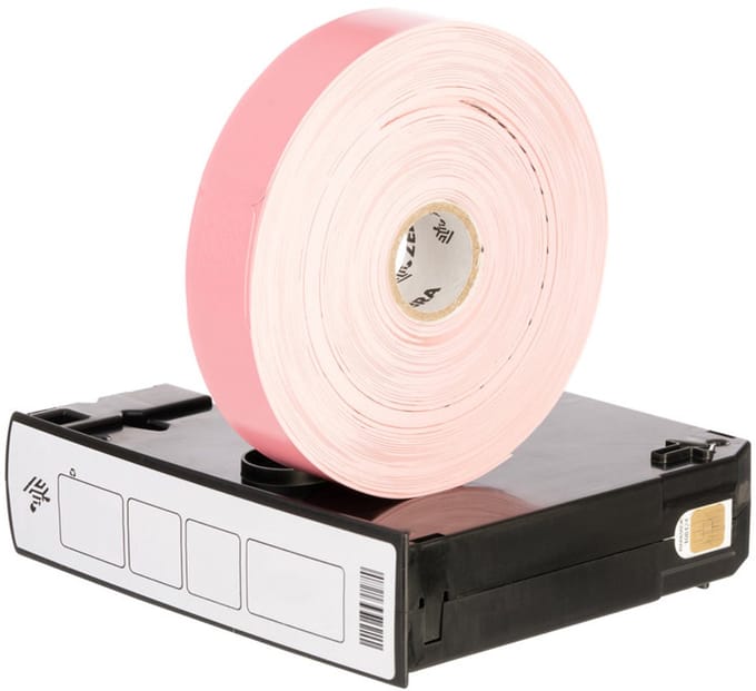 Zebra Z-Band Fun - handledsetiketter