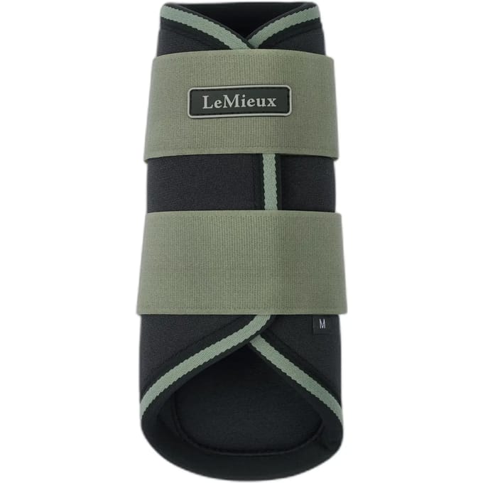 Gesloten laarzen LeMieux (x2)