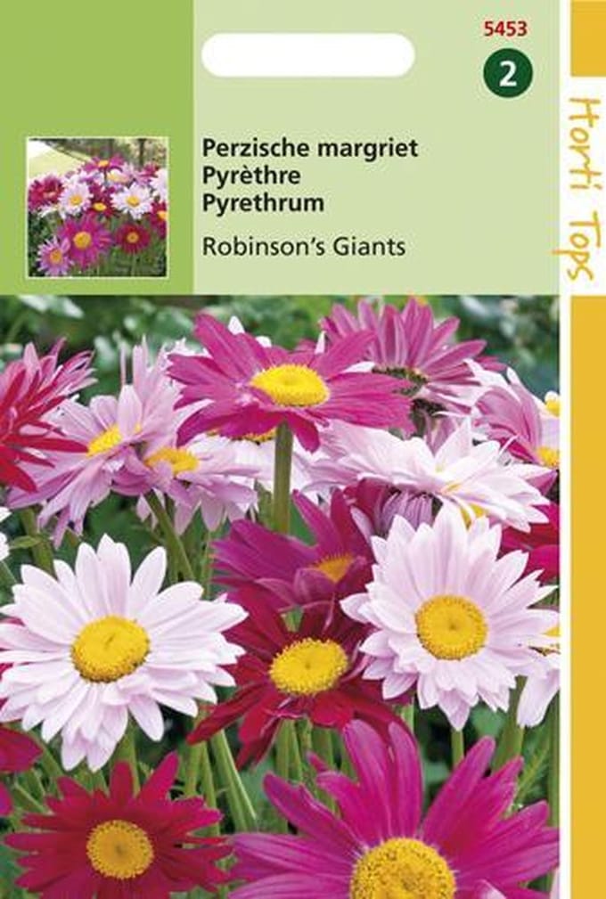 Hortitops zaden - Perzische Margriet Bloemzaad - Robinson's Giants - Gemengd