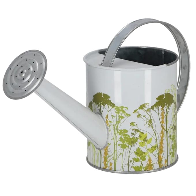 Arrosoir de Jardin Herb