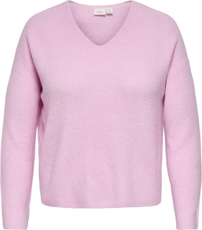 ONLY CARMAKOMA - CARCAMILLA V-NECK L/S PULLOVER KNT NOOS - Dames - Gebreide truien